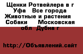 Щенки Ротвейлера в г.Уфа - Все города Животные и растения » Собаки   . Московская обл.,Дубна г.